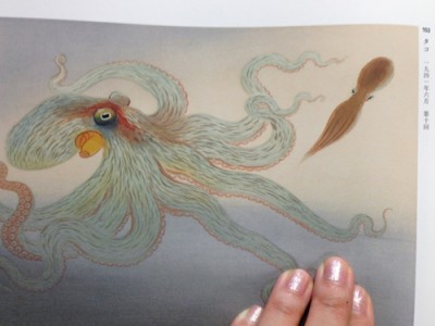 3 つの脱出戦術の例でタコの知性をチェック