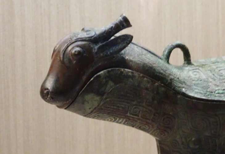 アライグマのような動物 - Cacomixtle